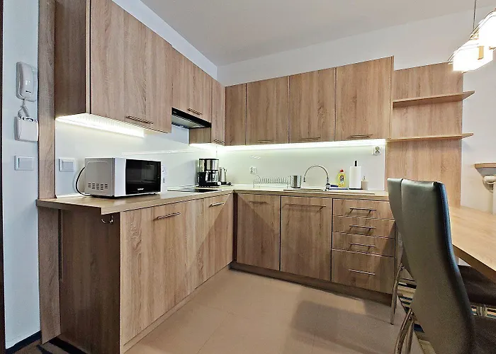 公寓 Baltic Park Molo By Baltic 斯维诺乌伊希切